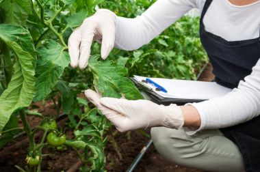 植物類黃酮代測檢測服務