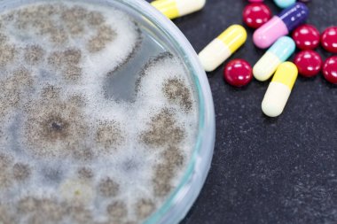 小鼠elisa試劑盒價格一般是多少？文章配圖1