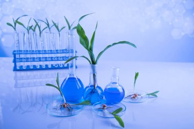 液相色譜串聯(lián)質譜-植物激素檢測代測服務說明圖1