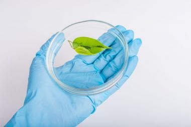 液相色譜串聯(lián)質譜-植物激素檢測代測服務說明圖2